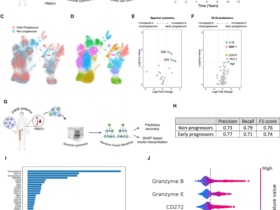 A differentiated effector T cell repertoire defines a functionally high-risk group of smoldering myeloma patients