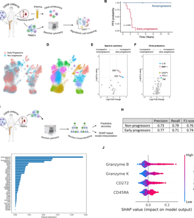A differentiated effector T cell repertoire defines a functionally high-risk group of smoldering myeloma patients