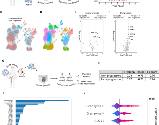 A differentiated effector T cell repertoire defines a functionally high-risk group of smoldering myeloma patients
