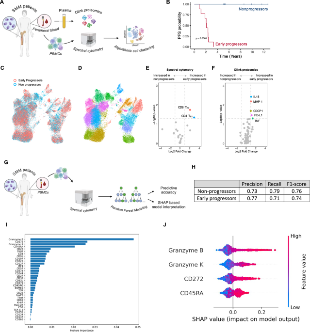 A differentiated effector T cell repertoire defines a functionally high-risk group of smoldering myeloma patients