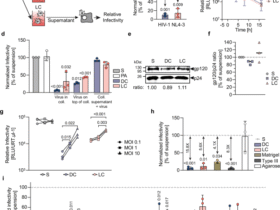 A tissue-intrinsic mechanism sensitizes HIV-1 particles for TLR-triggered innate immune responses