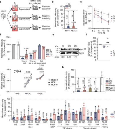 A tissue-intrinsic mechanism sensitizes HIV-1 particles for TLR-triggered innate immune responses