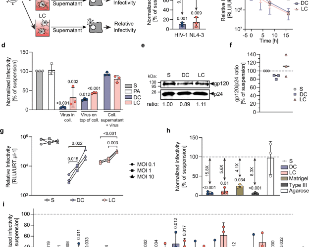 A tissue-intrinsic mechanism sensitizes HIV-1 particles for TLR-triggered innate immune responses
