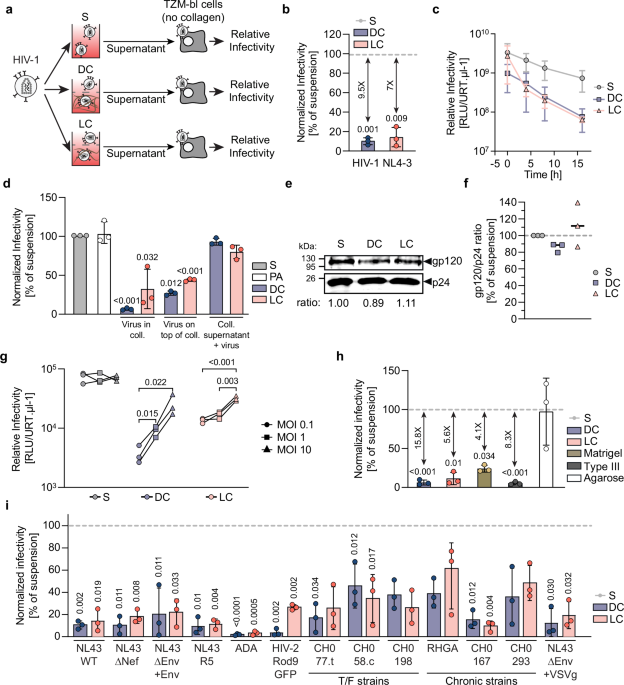 A tissue-intrinsic mechanism sensitizes HIV-1 particles for TLR-triggered innate immune responses