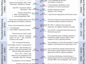 Adaptive resistance in cancer immunotherapy