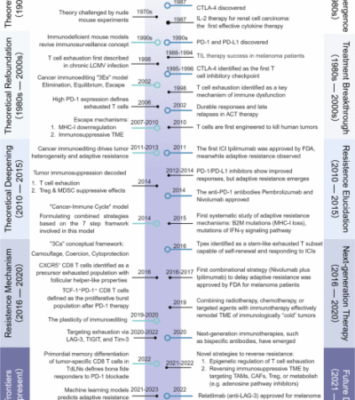Adaptive resistance in cancer immunotherapy
