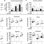 Blocking mitochondrial leucine transamination enhances T-cell activation and improves T-cell immunity against OVA-producing EL4 lymphoma