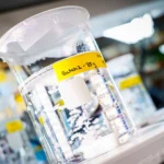 Breakthrough biomaterial heals tissue from the inside out
