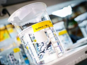 Breakthrough biomaterial heals tissue from the inside out