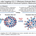 CAR T-cells targeting CD117 effectively eliminate mast cells in preclinical models of advanced systemic mastocytosis