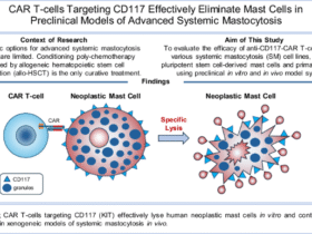 CAR T-cells targeting CD117 effectively eliminate mast cells in preclinical models of advanced systemic mastocytosis