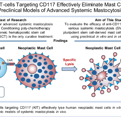 CAR T-cells targeting CD117 effectively eliminate mast cells in preclinical models of advanced systemic mastocytosis