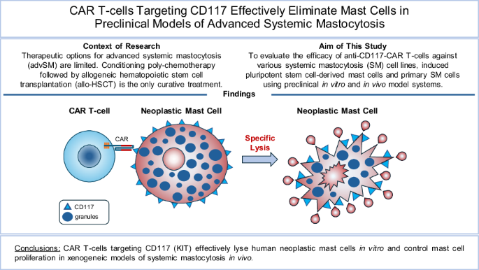 CAR T-cells targeting CD117 effectively eliminate mast cells in preclinical models of advanced systemic mastocytosis