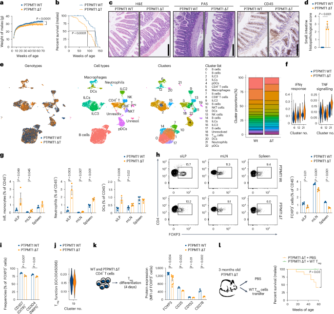 Cardiolipin preserves Treg metabolic fitness and immune homeostasis in the gut