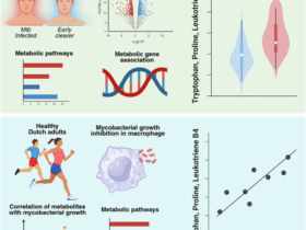 Circulating metabolites associated with protection against Mycobacterium tuberculosis infection and inhibition of mycobacterial growth