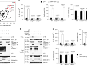 Cytosolic CTH senses bacterial lipoproteins and drives noncanonical inflammasome activation