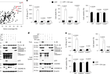 Cytosolic CTH senses bacterial lipoproteins and drives noncanonical inflammasome activation