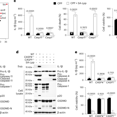 Cytosolic CTH senses bacterial lipoproteins and drives noncanonical inflammasome activation