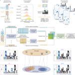 Deep peptide recognition profiling decodes TCR specificity and enables disease-associated antigen discovery