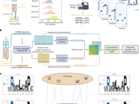 Deep peptide recognition profiling decodes TCR specificity and enables disease-associated antigen discovery