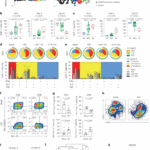 Epigenetic reprogramming of T cell metabolism restores function and enhances anti-tumor immunity in lung cancer