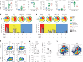 Epigenetic reprogramming of T cell metabolism restores function and enhances anti-tumor immunity in lung cancer