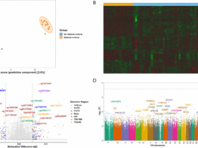 Epigenome-wide DNA methylation patterns associated with disease activity in systemic lupus erythematosus