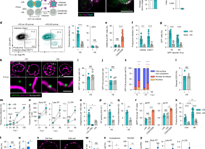 HIV-1 signalling remodels nuclear pores to licence infection