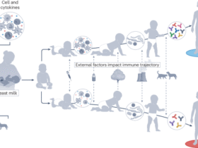 Immune development in early life