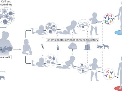 Immune development in early life