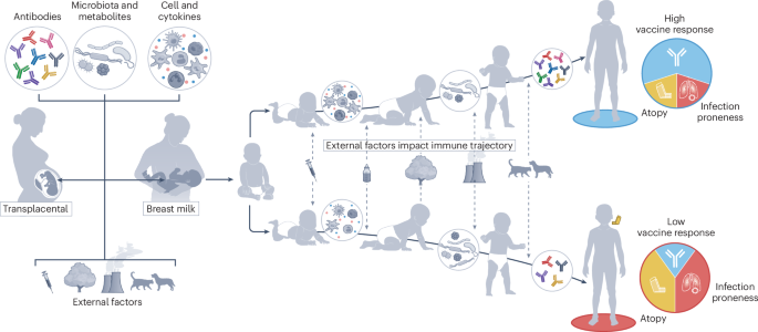 Immune development in early life