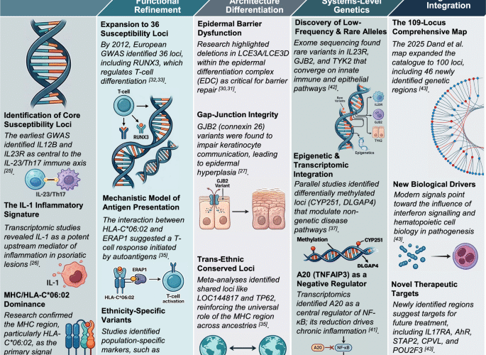 Immunogenetics in psoriasis: towards personalised diagnosis and treatment strategies