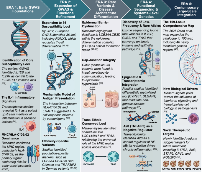 Immunogenetics in psoriasis: towards personalised diagnosis and treatment strategies