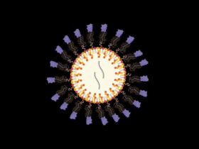 In vivo reprogramming of cytotoxic effector CD8 T cells via fractalkine-conjugated mRNA-LNPs | Science Immunology