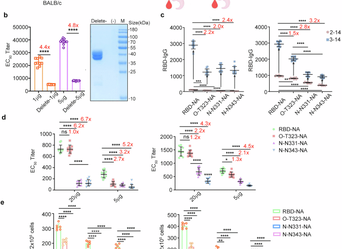 Investigating the effects and underlying mechanisms of glycosylation sites on the immunogenicity of COVID-19 vaccines