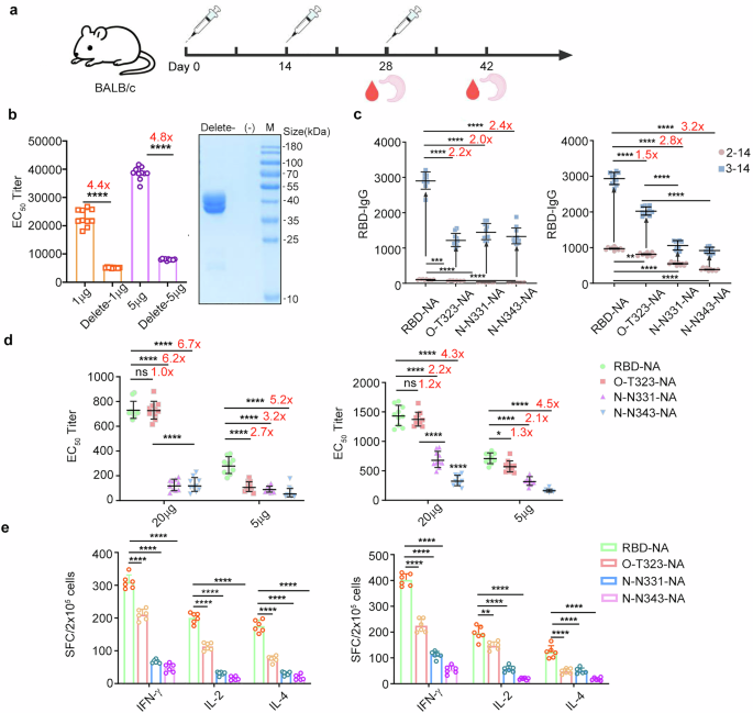 Investigating the effects and underlying mechanisms of glycosylation sites on the immunogenicity of COVID-19 vaccines