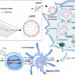 LNP-based delivery of a Toll-like receptor 9 agonist elicits potent adjuvant effects and antitumor immunity