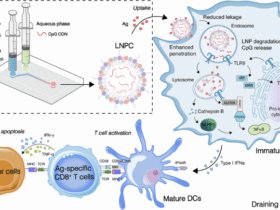 LNP-based delivery of a Toll-like receptor 9 agonist elicits potent adjuvant effects and antitumor immunity