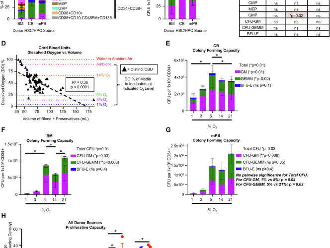 Local oxygen tension dictates hematopoietic cell growth and potency