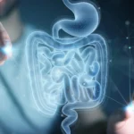 MIT scientists discover amino acid that helps the gut heal itself