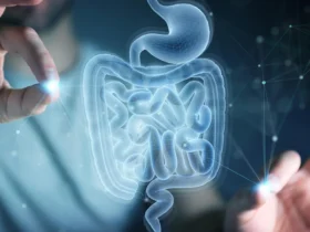 MIT scientists discover amino acid that helps the gut heal itself