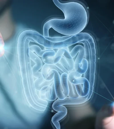 MIT scientists discover amino acid that helps the gut heal itself