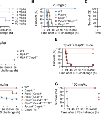 Mapping the holonomic signaling network that drives pathological changes in endotoxic shock