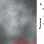 Maturation-deficient chikungunya virus elicits protective immune responses in a murine challenge model