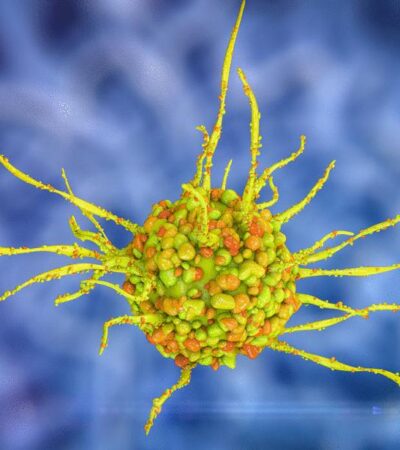 Mitochondrial complex I activity promotes antigen cross-presentation in dendritic cells | Science Immunology