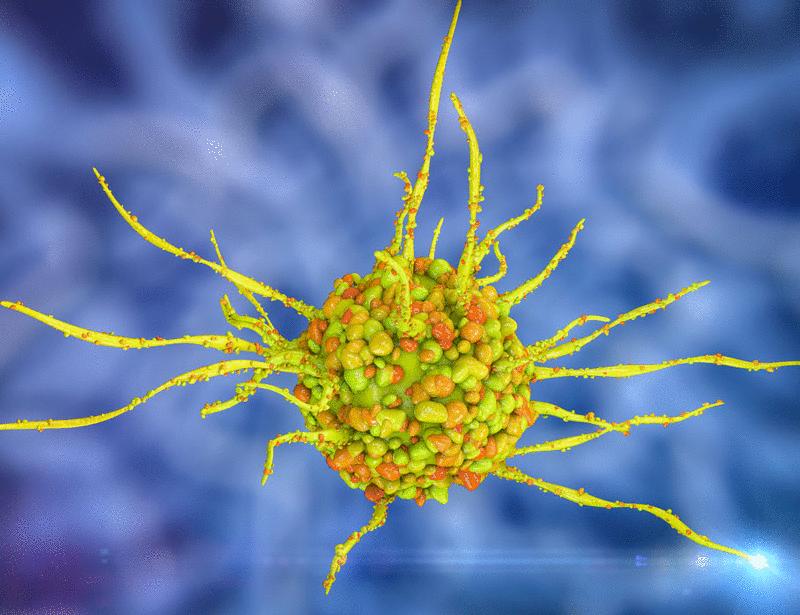Mitochondrial complex I activity promotes antigen cross-presentation in dendritic cells | Science Immunology