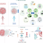 Multi-omics profiling reveals tumor microenvironment characteristics linked to immunotherapy response and prognosis in non-small cell lung cancer