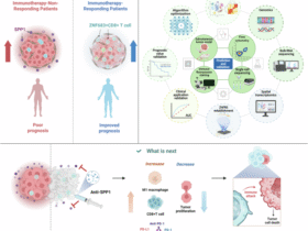 Multi-omics profiling reveals tumor microenvironment characteristics linked to immunotherapy response and prognosis in non-small cell lung cancer