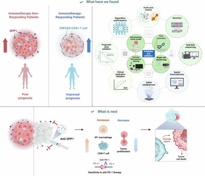 Multi-omics profiling reveals tumor microenvironment characteristics linked to immunotherapy response and prognosis in non-small cell lung cancer