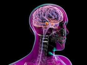 Oral small-molecule GLP-1 drugs penetrate deep into the brain to suppress cravings